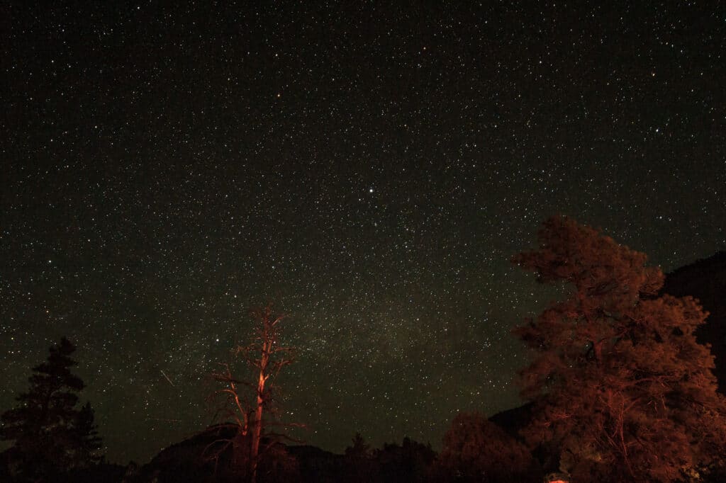 Zion at night