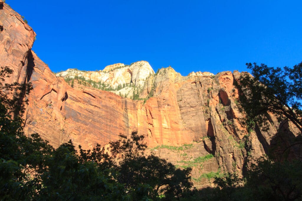 Zion NP