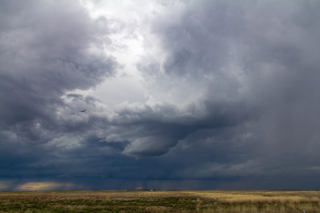 Weird LP/meso structure near Campo