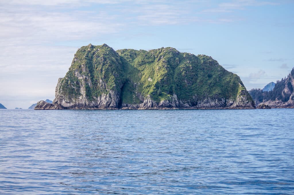 Fjords in Resurrection Bay