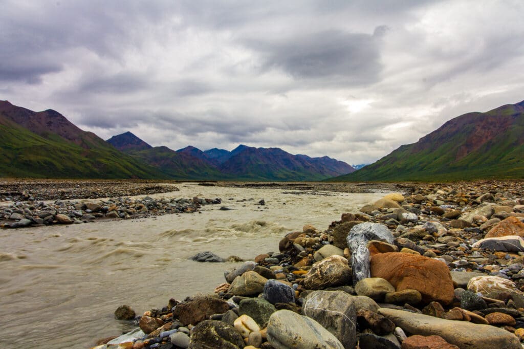 Toklat River flows through Denali