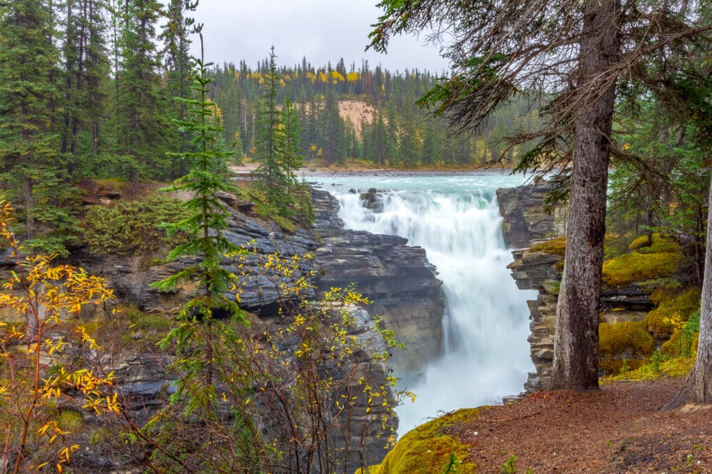 Athabasca Falls