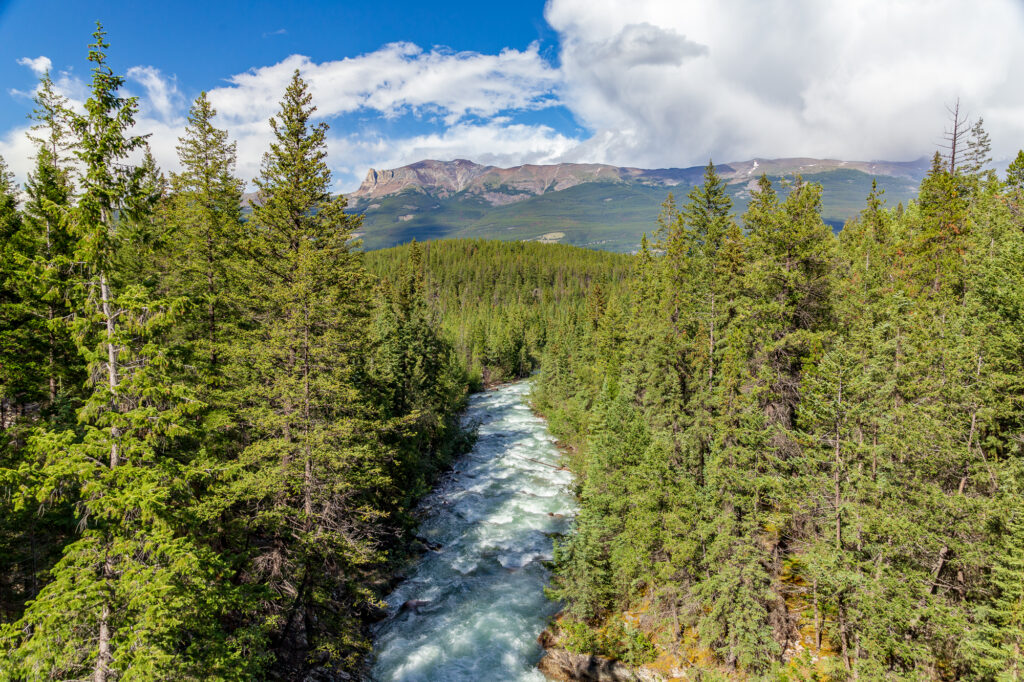 Astoria River flowing rapidly through Jasper National Park