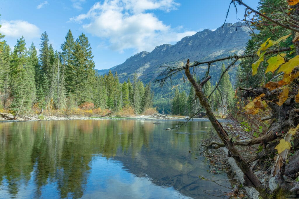 Waterton River