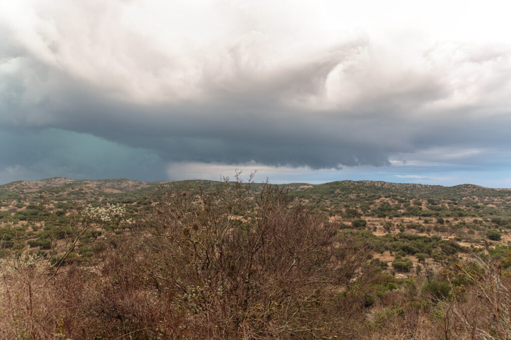 Mesocyclone as the storm rockets away from us