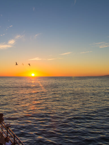 Sunset into the pacific ocean