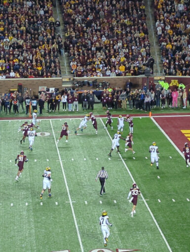 Minnesota vs Michigan