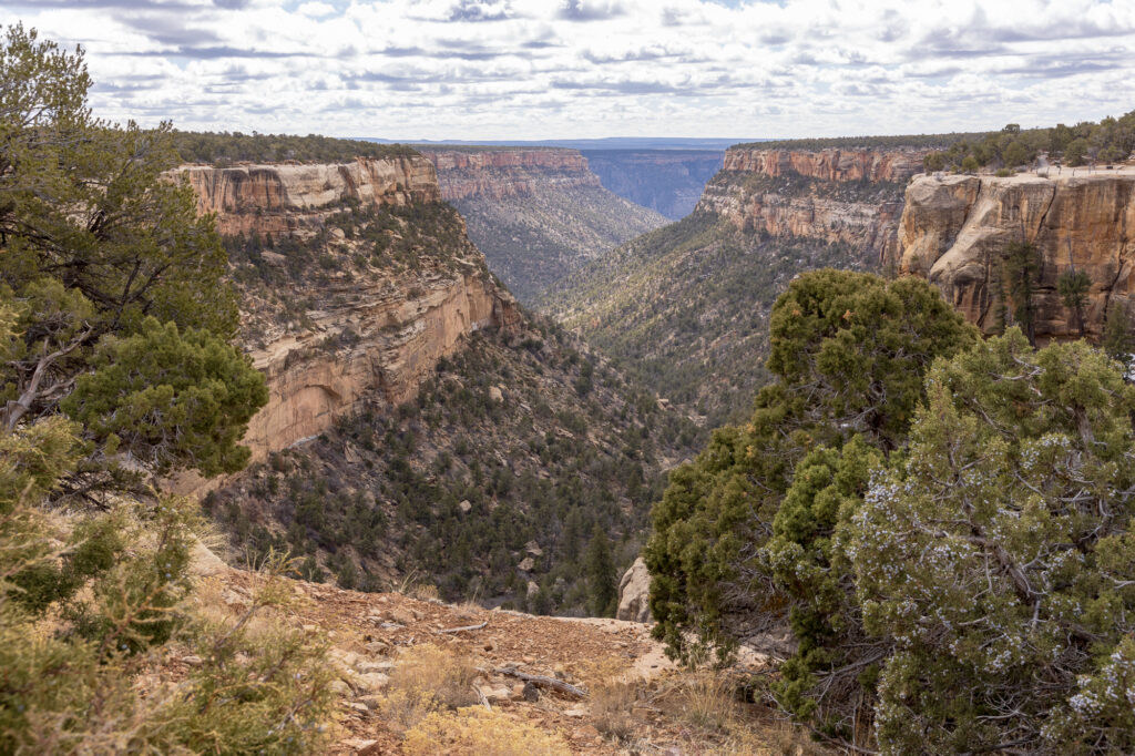 Fewkes Canyon