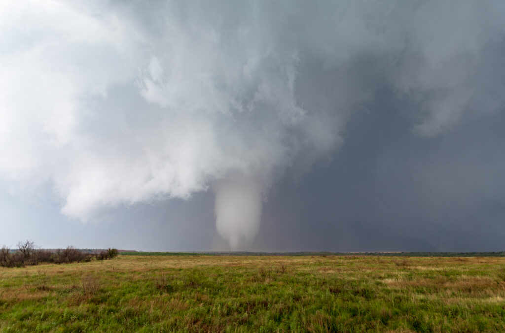 Olustee Tornado