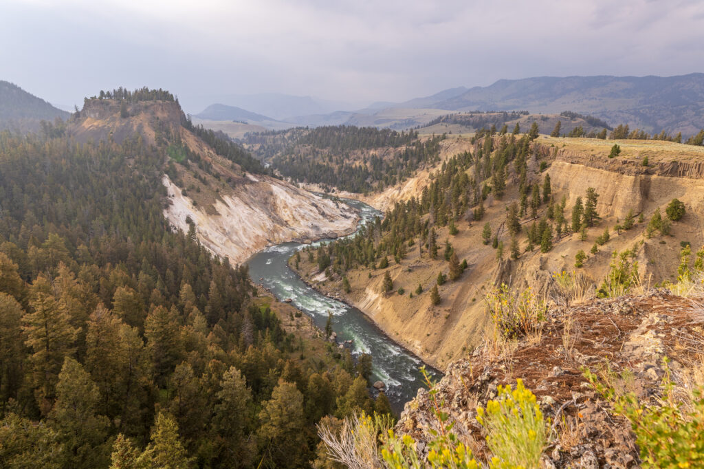 Grand Canyon of Yellowstone