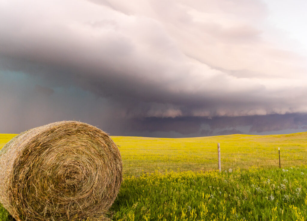 South Dakota Hay Bale